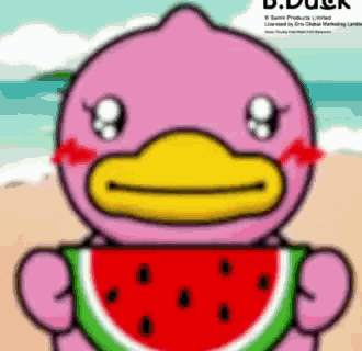 a pink duck holding a slice of watermelon on a beach