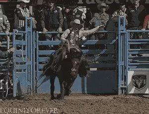 Horseback Riding GIF - Cowboy Horseback Riding Rodeo GIFs
