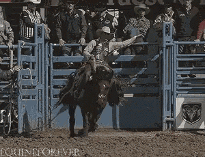 a man is riding a bull in front of a ram logo