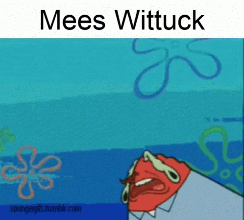 Mees Wittuck GIF - Mees Wittuck GIFs