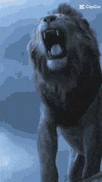 a picture of a lion with its mouth open and the words capcut on the bottom right