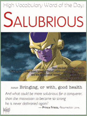 a poster for high vocabulary word of the day