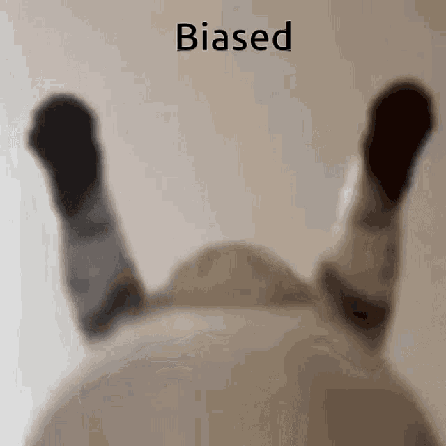 a close up of a cat 's paws with the word biased written on the bottom .