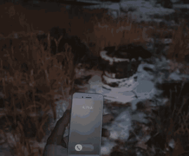 a person is holding a cell phone that says alpha on it