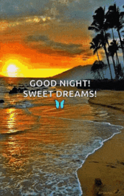 a beach at sunset with the words `` good night sweet dreams '' written on it