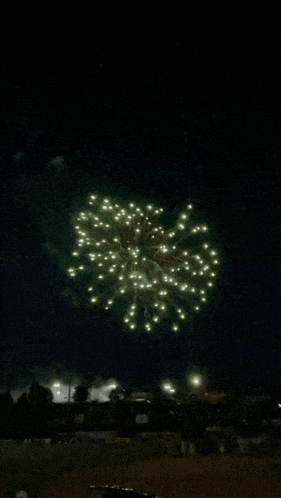 a fireworks display in the night sky with a fence in the background