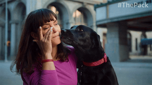 Kissing The Pack GIF - Kissing The Pack Dogs Love GIFs