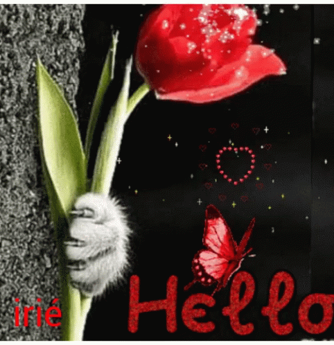 Irie Hello GIF - Irie Hello Love You GIFs