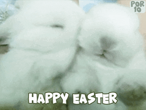 a happy easter greeting card with a couple of rabbits