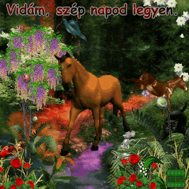 a horse is standing in a garden with the words vidam szop napod legyen