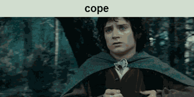 Lord Of The Rings Lotr GIF - Lord Of The Rings Lotr Cope GIFs