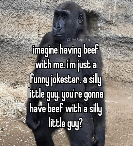 a gorilla says imagine having beef with me i 'm just a funny jokester a silly little guy