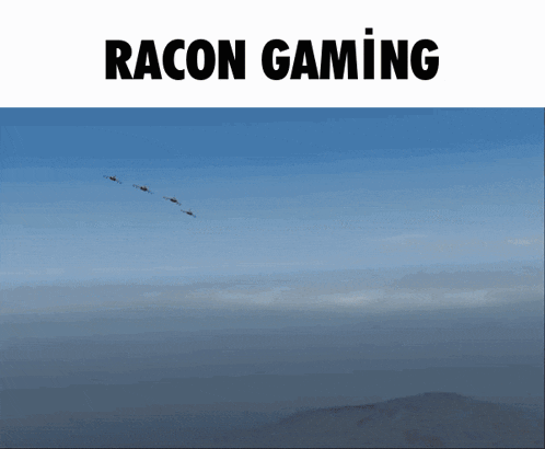 a flock of birds flying in a blue sky with the words racon gaming above them