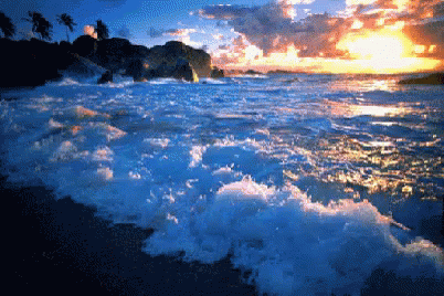 Sea Shore GIF - Sea Shore Cloud GIFs