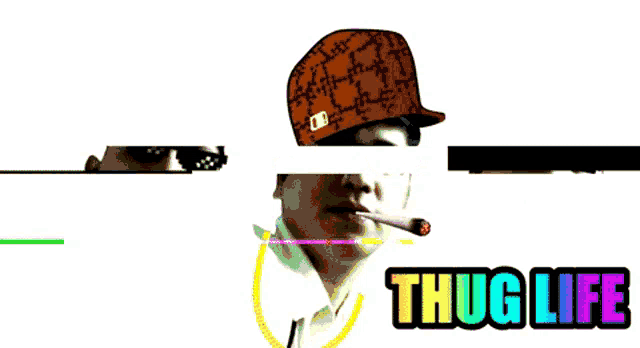 a man wearing a pink hat and sunglasses is smoking a cigarette and the words thug life are below him