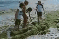 Pedobear Creeping At The Beach GIF - Pedo Pedobear Beach GIFs