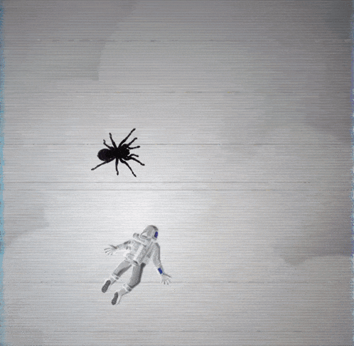 a space shuttle with a spider and an astronaut on the side