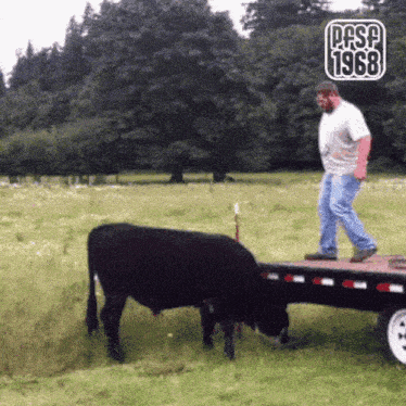 a man is standing on a trailer while a cow grazes in a field
