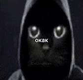 a black cat with white eyes is wearing a hoodie and looking at the camera .