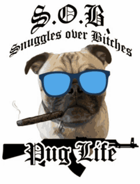 a pug wearing sunglasses and smoking a cigar with the words s.o.b. snuggles over bitches