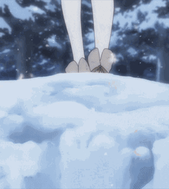 a person 's feet are standing in the snow with trees in the background
