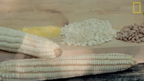 Corn Gordon Ramsay GIF - Corn Gordon Ramsay Uncharted GIFs