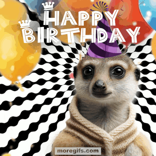 meerkat wearing a party hat and scarf with the words happy birthday