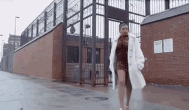a woman in a fur coat is walking down the street