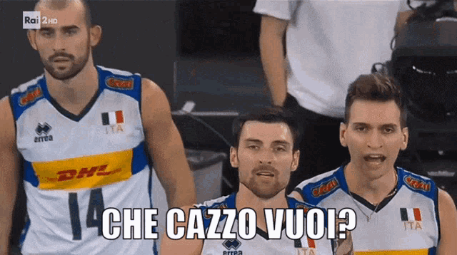 a group of volleyball players wearing dhl jerseys