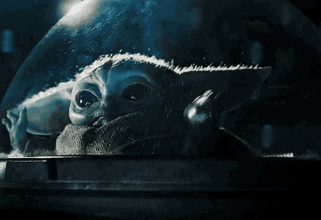 a close up of a baby yoda in a glass dome .