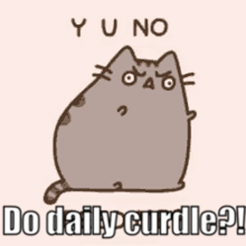 Daily Curdle Why You No GIF - Daily Curdle Why You No Wtf GIFs