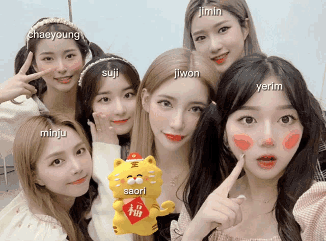 a group of girls are posing for a picture with names like chaeyoung