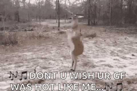 a deer is dancing in the woods and says `` dont u wish ur gf was hot like me ''