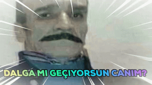 Meme Funny GIF - Meme Funny Turkish GIFs