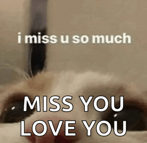 a picture of a cat that says i miss u so much