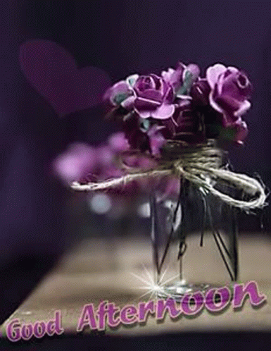 Afternoon Images GIF - Afternoon Images GIFs