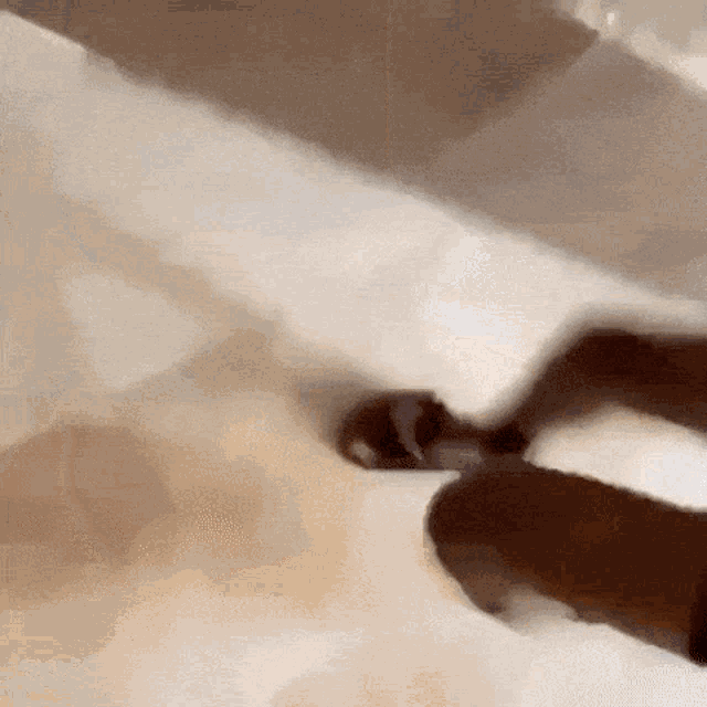 a close up of a person 's foot wearing a pair of sandals on a white surface .