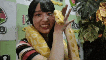 岸帆夏 Kishi Honoka GIF - 岸帆夏 Kishi Honoka Python GIFs