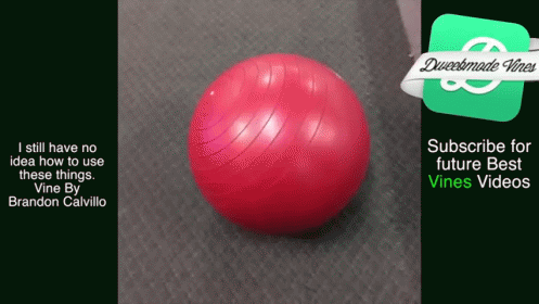This Is How You Use Dumbbells, Right? GIF - Vine Dumbbells Yogaball GIFs