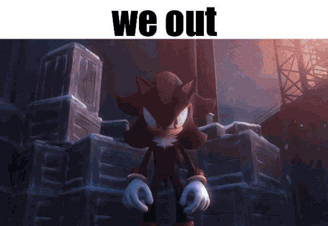 shadow the hedgehog standing in front of a building with the words we out below him