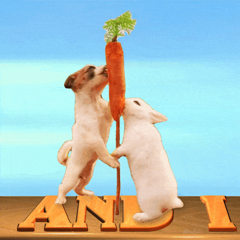Funny Animals Doggy GIF - Funny Animals Doggy Cute Bunny GIFs