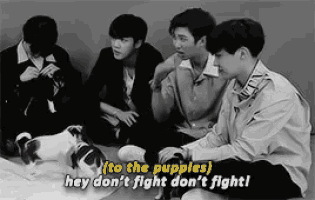 a group of young men are sitting on the floor with their dogs and one of them says " to the puppies "