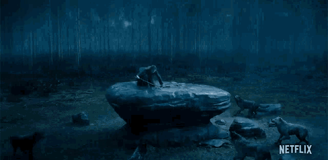 a man is standing on a rock holding a sword and a netflix logo is visible in the background