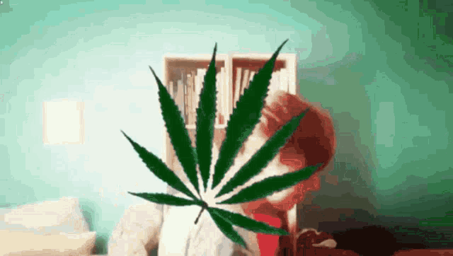 a person with a marijuana leaf on their face