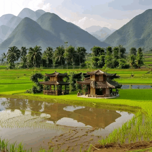 a house in a lush green field with mountains in the background
