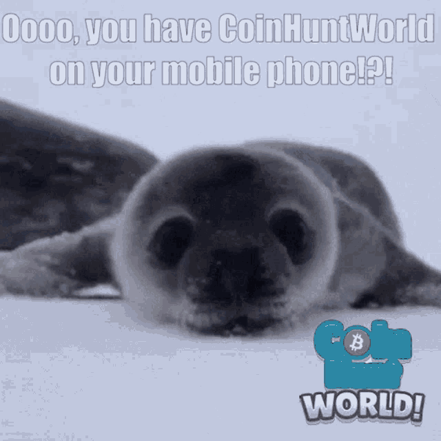 Coin Hunt World Chw GIF - Coin Hunt World Chw Seal GIFs