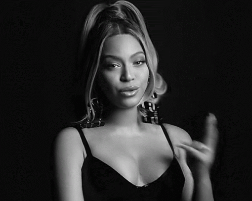 Beyonce Rumiyonce GIF
