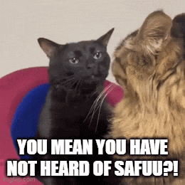 two cats are looking at each other with the caption you mean you have not heard of safuu ?