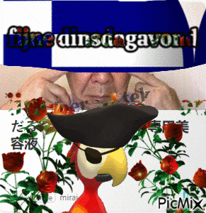 a picture of a parrot wearing a pirate hat with the words fijne dinsdagavond