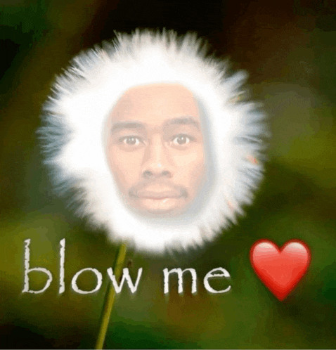 a dandelion with a man 's face in it and the words blow me written on it